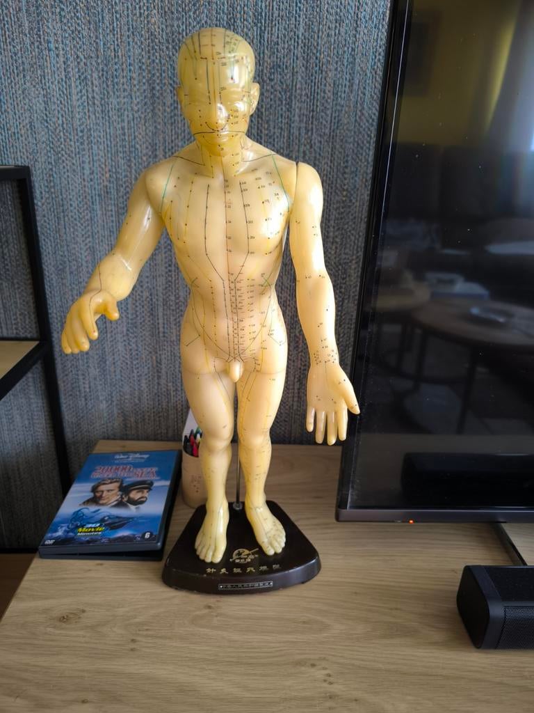 Anatomisch accupentuur model 1950, Antiek en Kunst, Ophalen