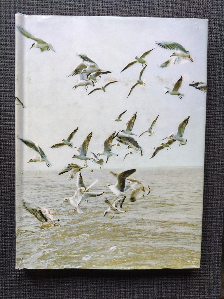 Artis Historia, Natuur en Vogelreservaten van België, Zwin, Boeken, Prentenboeken en Plaatjesalbums, Ophalen, Gelezen, Edgard Kesteloot