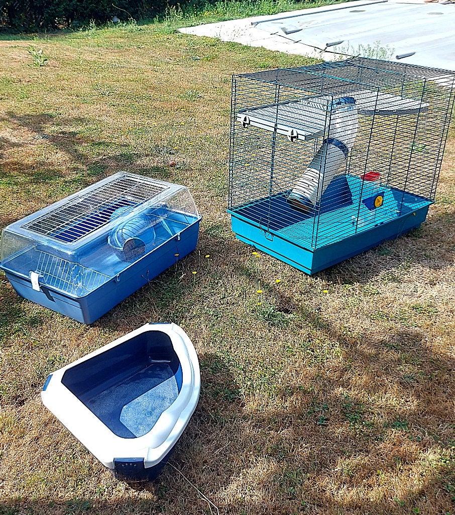 kooien voor kleine dieren, Dieren en Toebehoren, Ophalen, Kooi, Gebruikt, 60 tot 90 cm