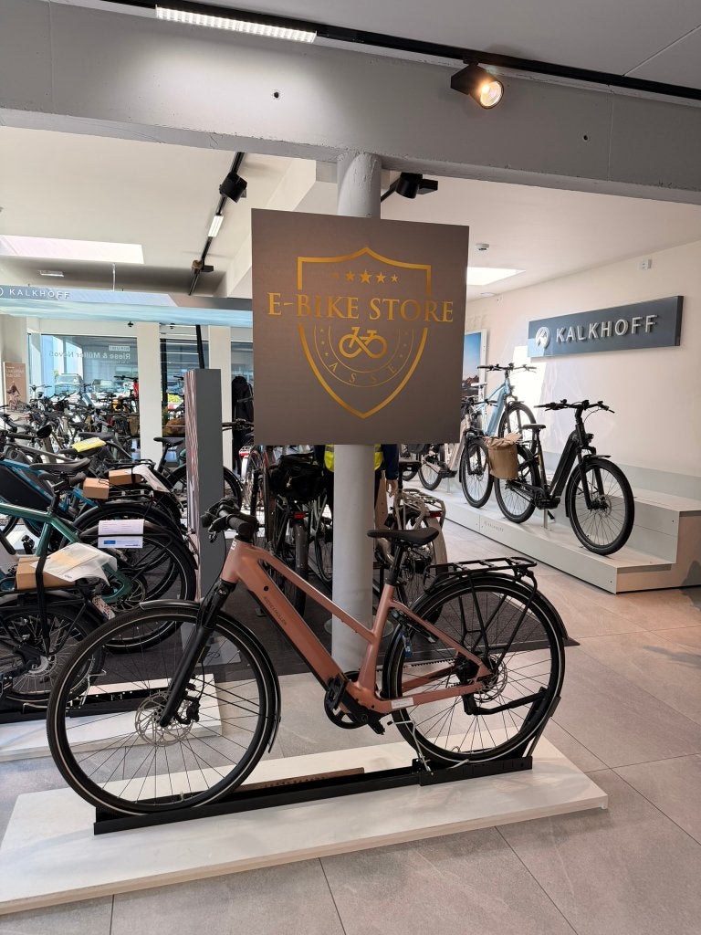 Riese & Müller UBN Seven Vario DEMOFIETS