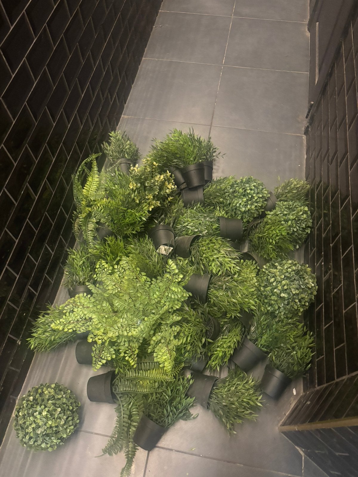 48 plantes artificiels Ikea, Enlèvement