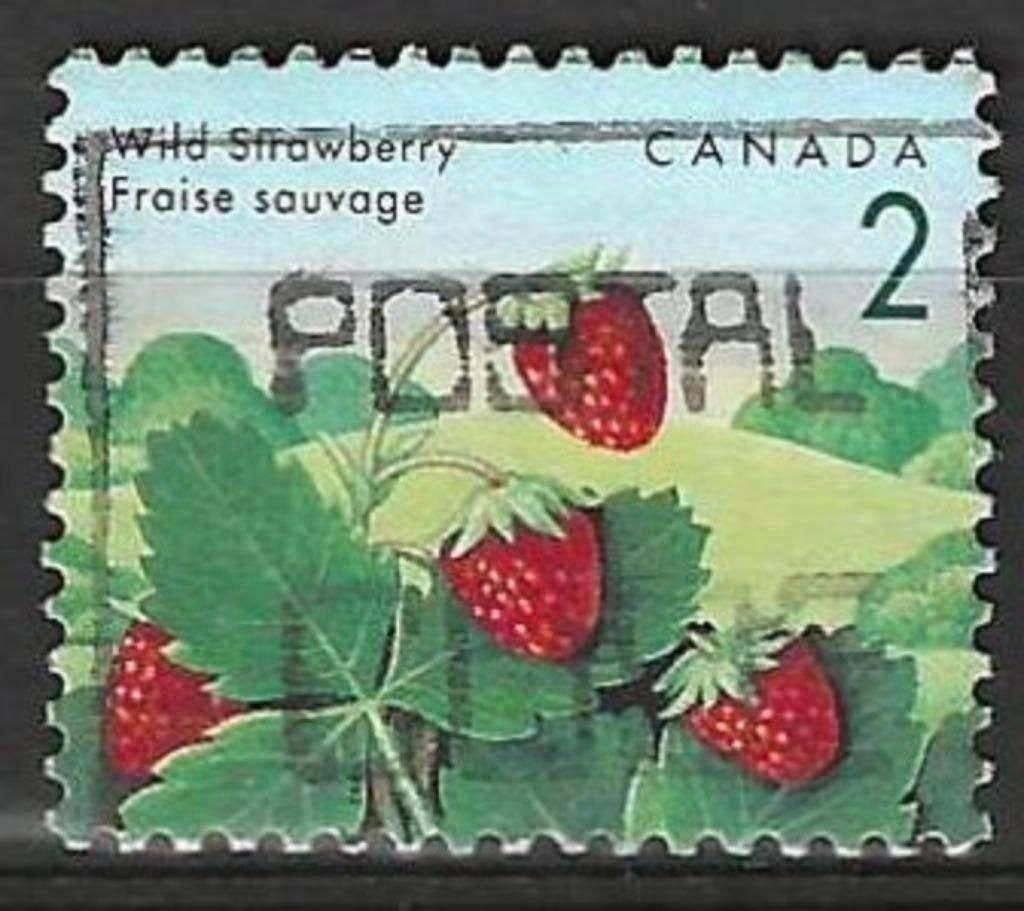 Canada 1992 - Yvert 1263 - Fruits sauvages - Fraises (ST), Envoi, Affranchi