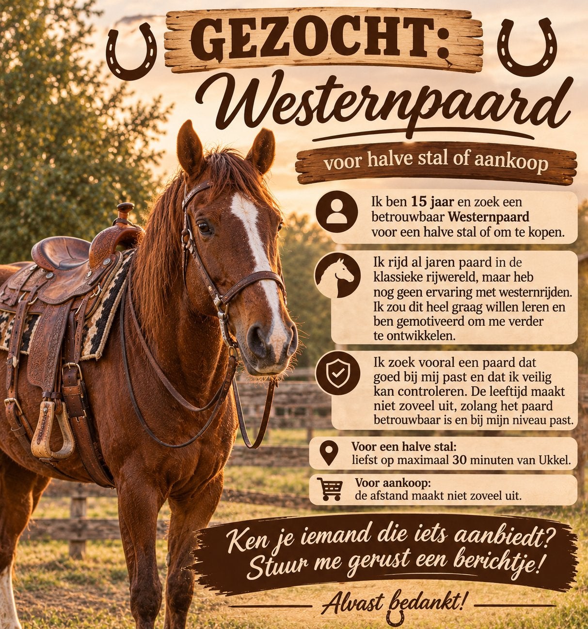 Recherche cheval western – demi-pension ou achat, Animaux & Accessoires