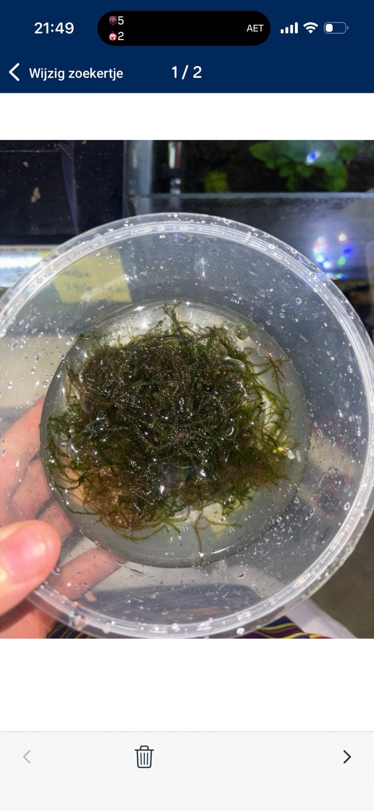 Portie Javamos (Aquariumplant), Ophalen, Zo goed als nieuw