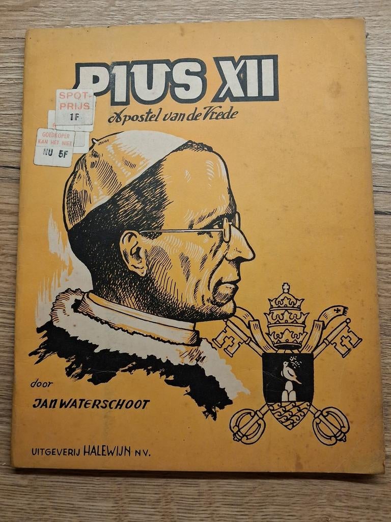 Jan Waterschoot : Pius XII, Boeken, Verzenden