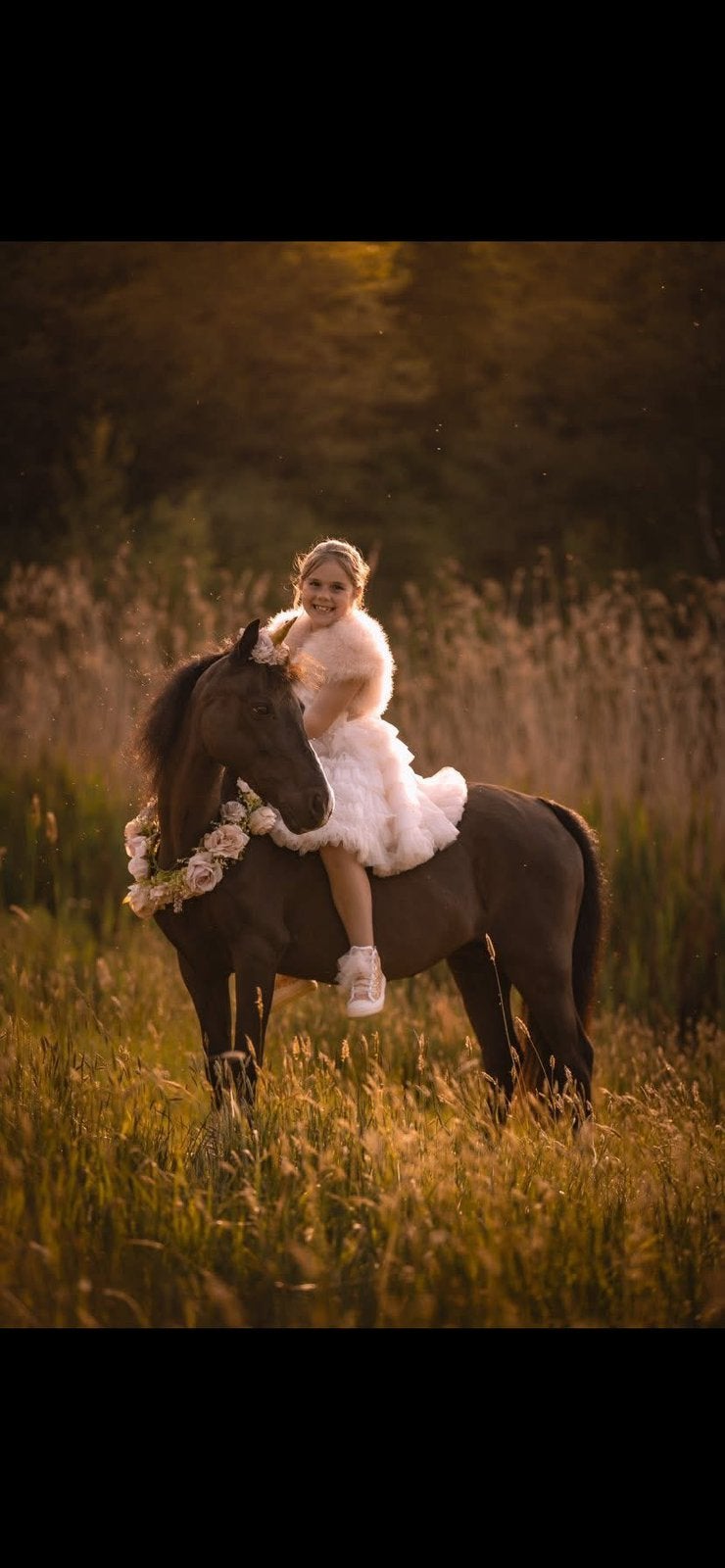 Knappe pony, Poney de dressage, 11 ans ou plus, Poney A (jusqu'à 1.17 m), L