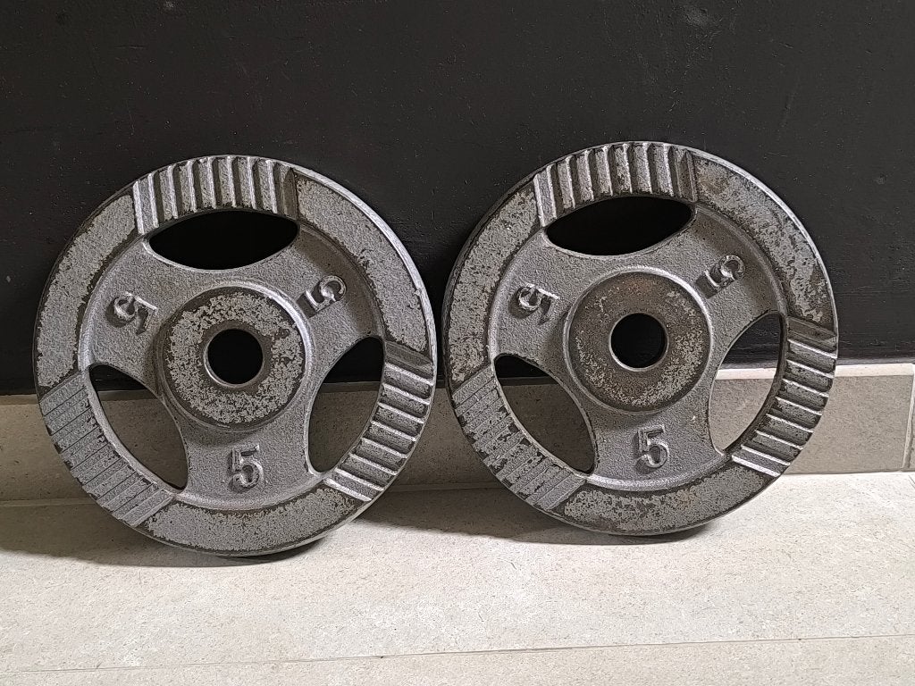 2 x 5kg plaques de musculation (30mm)., Enlèvement, Utilisé, Bras, Plaques d'haltères