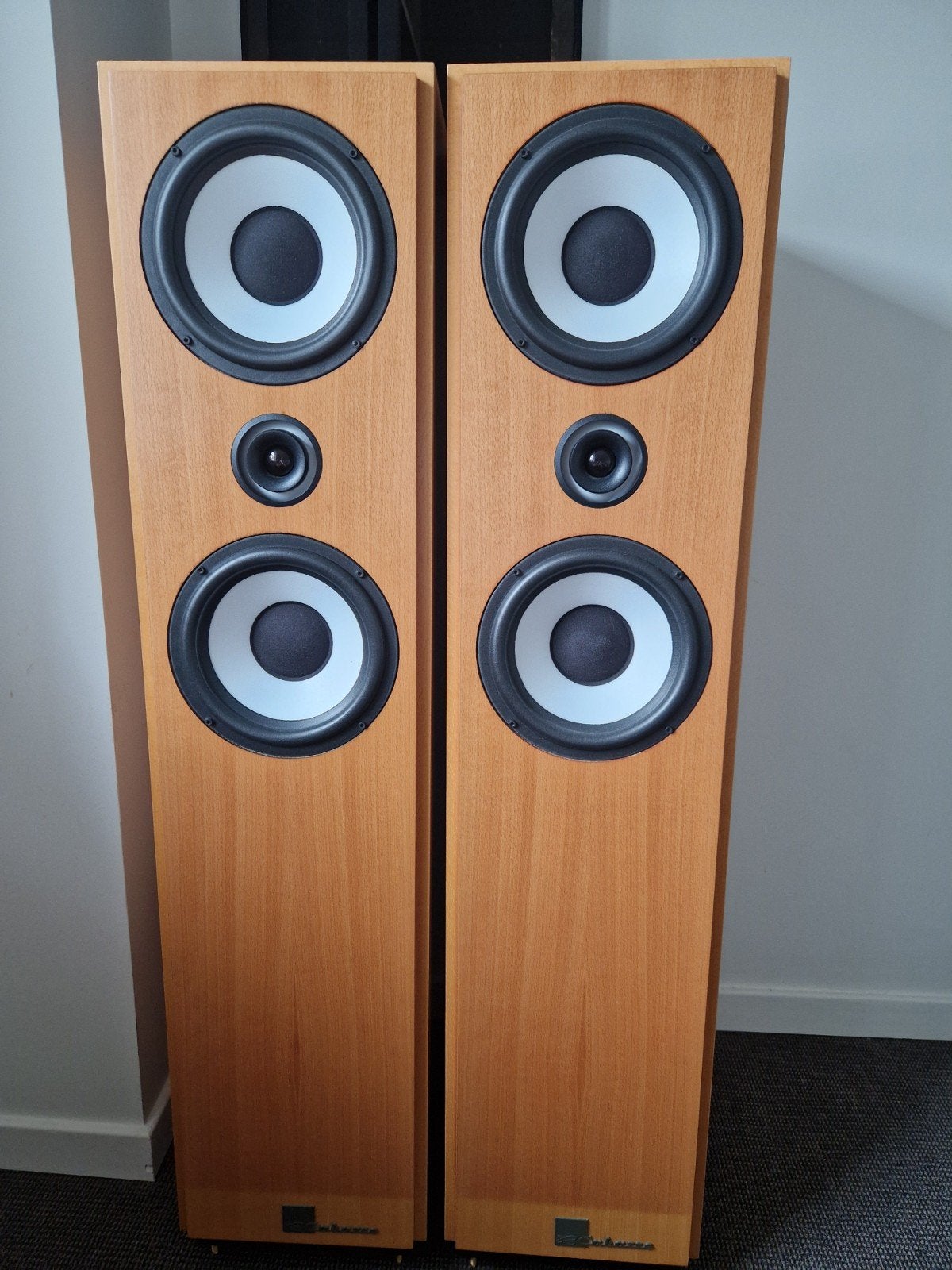 Enceinte cabasse, TV, Hi-fi & Vidéo, Enceintes, Enlèvement