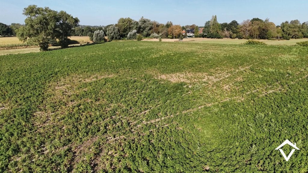 Landbouwgrond te koop van 2,88 ha. Vrij van pacht na seizoen, Koekelare, 1500 m² of meer