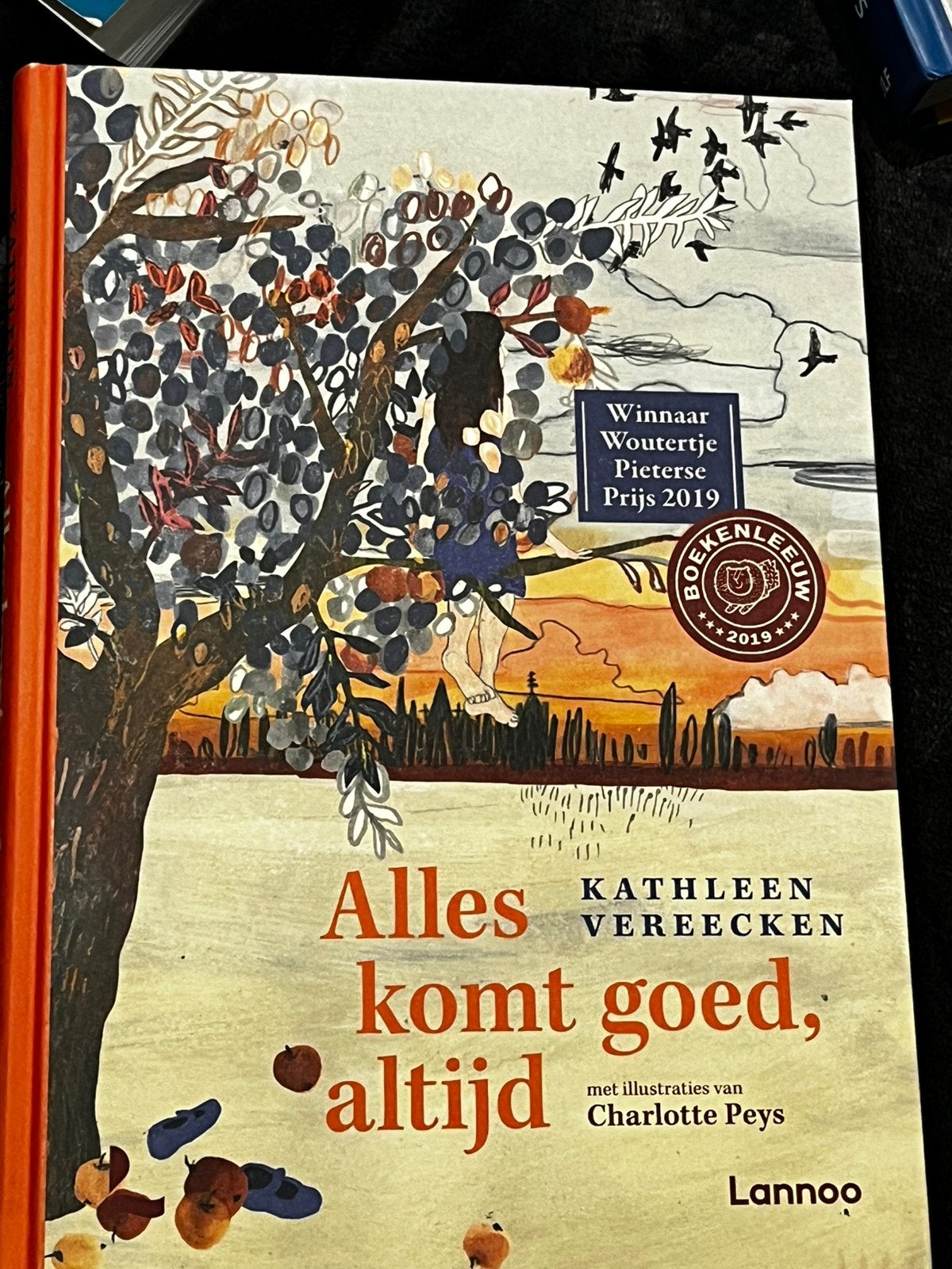 Alles komt goed, altijd, Ophalen, Zo goed als nieuw, Overige niveaus, Nederlands