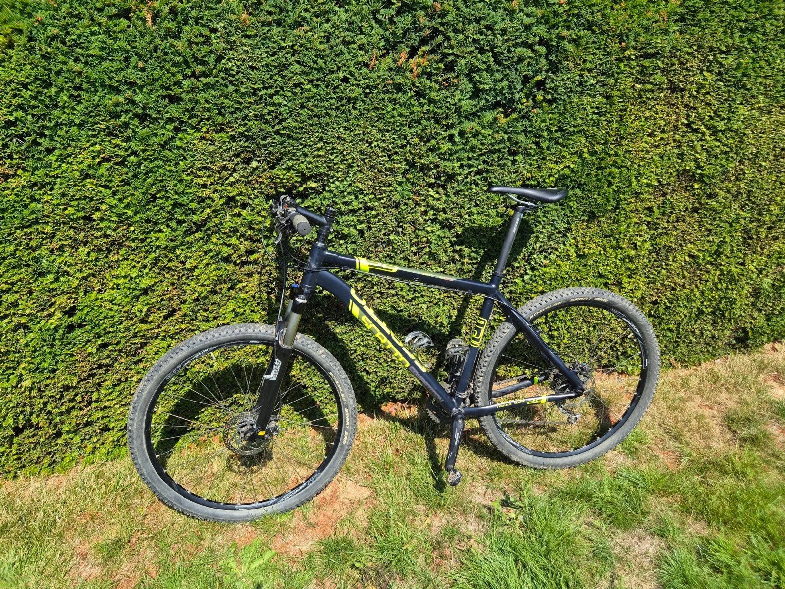 VTT Scatto Competition XL 29", Vélos & Vélomoteurs, Enlèvement