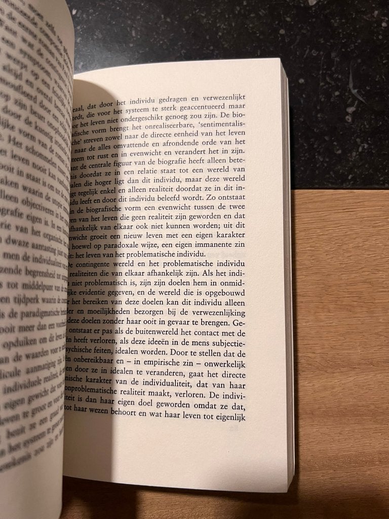 Theorie van de roman - Georg Lukacs, Boeken, Gelezen, Georg Lukacs, Ophalen of Verzenden, Overige onderwerpen