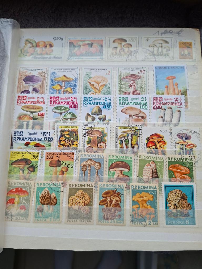 Postzegels paddestoelen, Timbres & Monnaies, Timbres | Timbres thématiques, Enlèvement