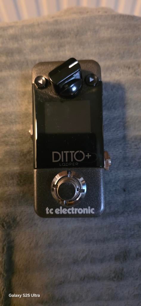 Tc electronic ditto looper plus digital, Ophalen of Verzenden, Nieuw