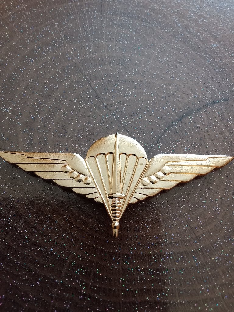 Insigne de béret para commando belge en bronze, Collections, Enlèvement ou Envoi