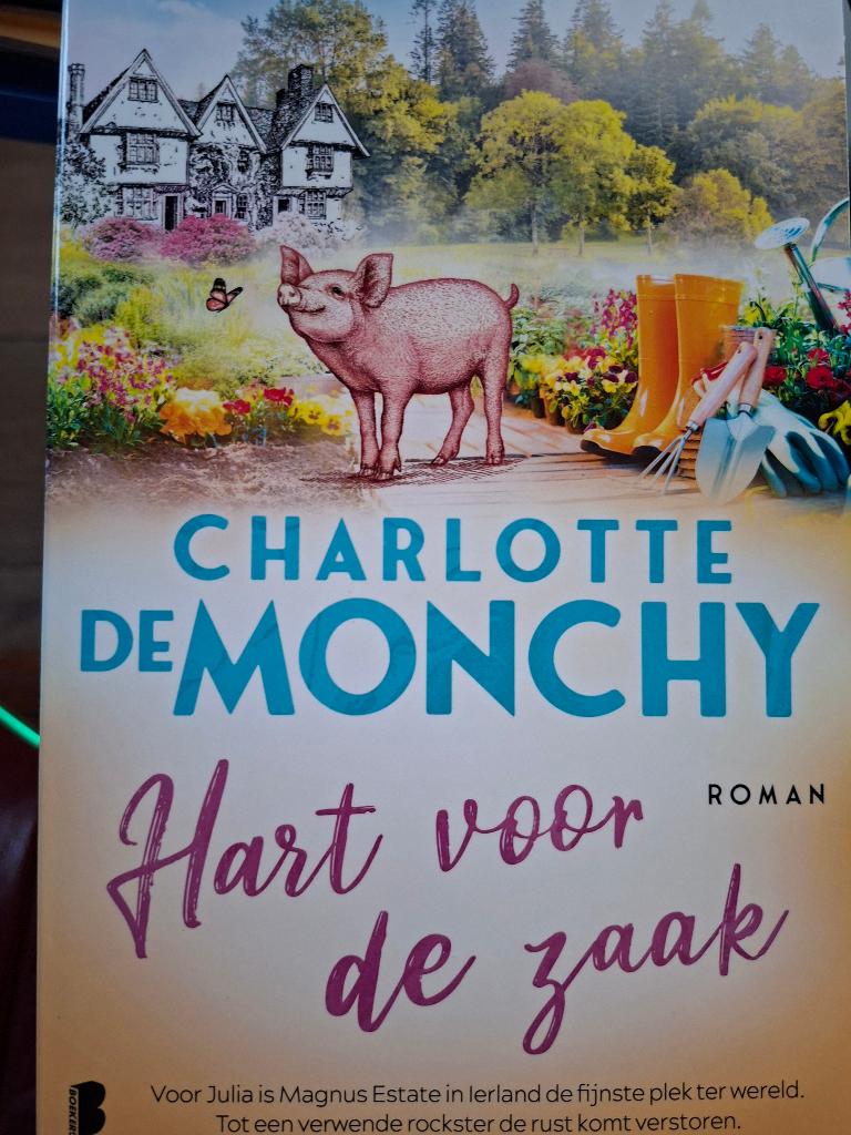 Romans Charlotte De Monchy/Manuela Inusa, Boeken, België, Diverse auteurs, Ophalen of Verzenden, Zo goed als nieuw