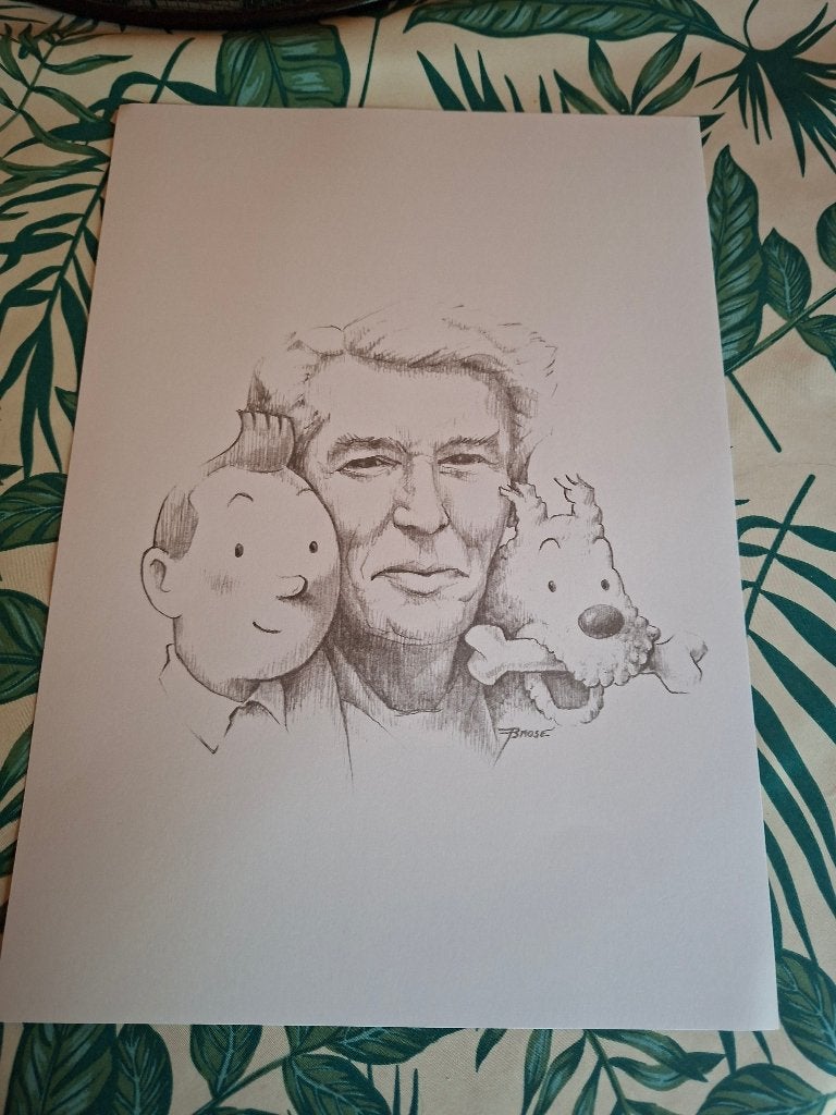 Tintin dessins au crayon voir photos, Livres, Enlèvement ou Envoi, Comme neuf, Brose