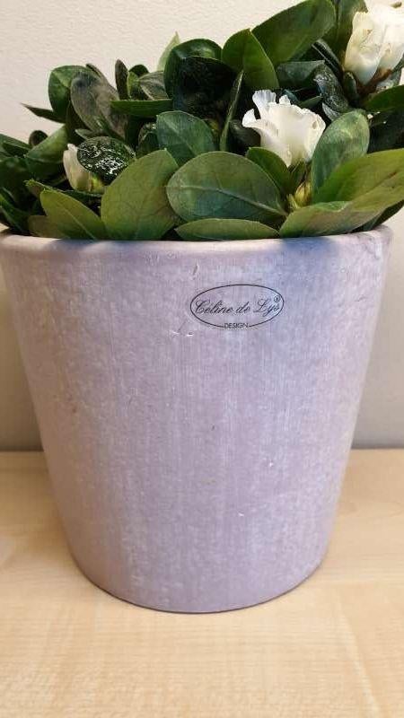 Bloempot, roze, hoogte 14cm, binnen diameter 13cm, nieuw!, Tuin en Terras, Bloempotten, Ophalen, Binnen