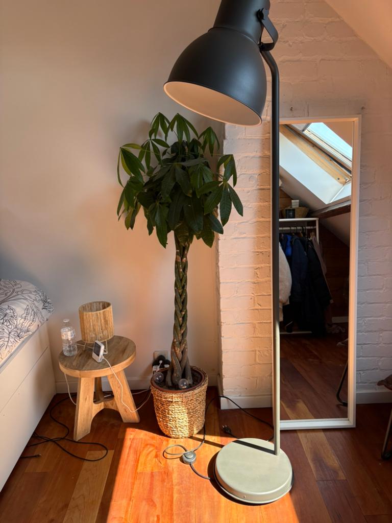 Lampadaire  sur pied, Enlèvement, Comme neuf