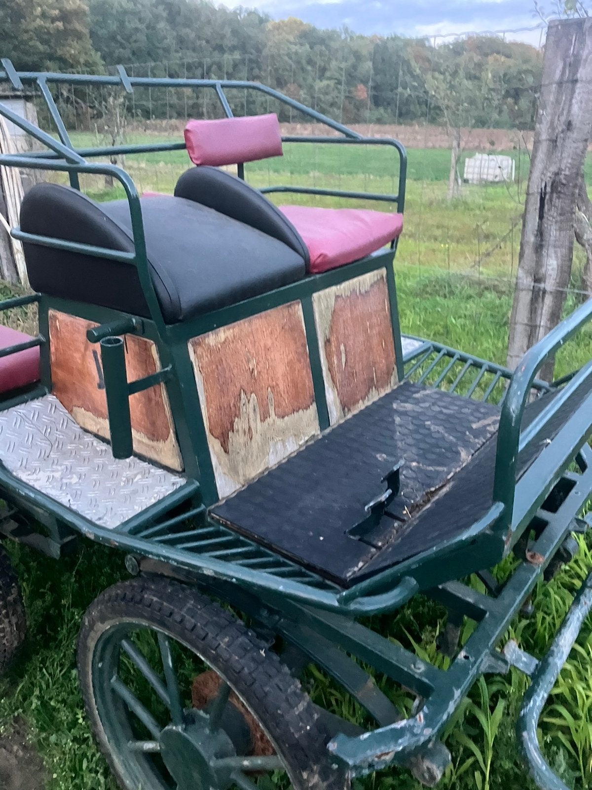 Koets,marathonwagen, Dieren en Toebehoren, Gebruikt, Marathonwagen, Paard of Pony