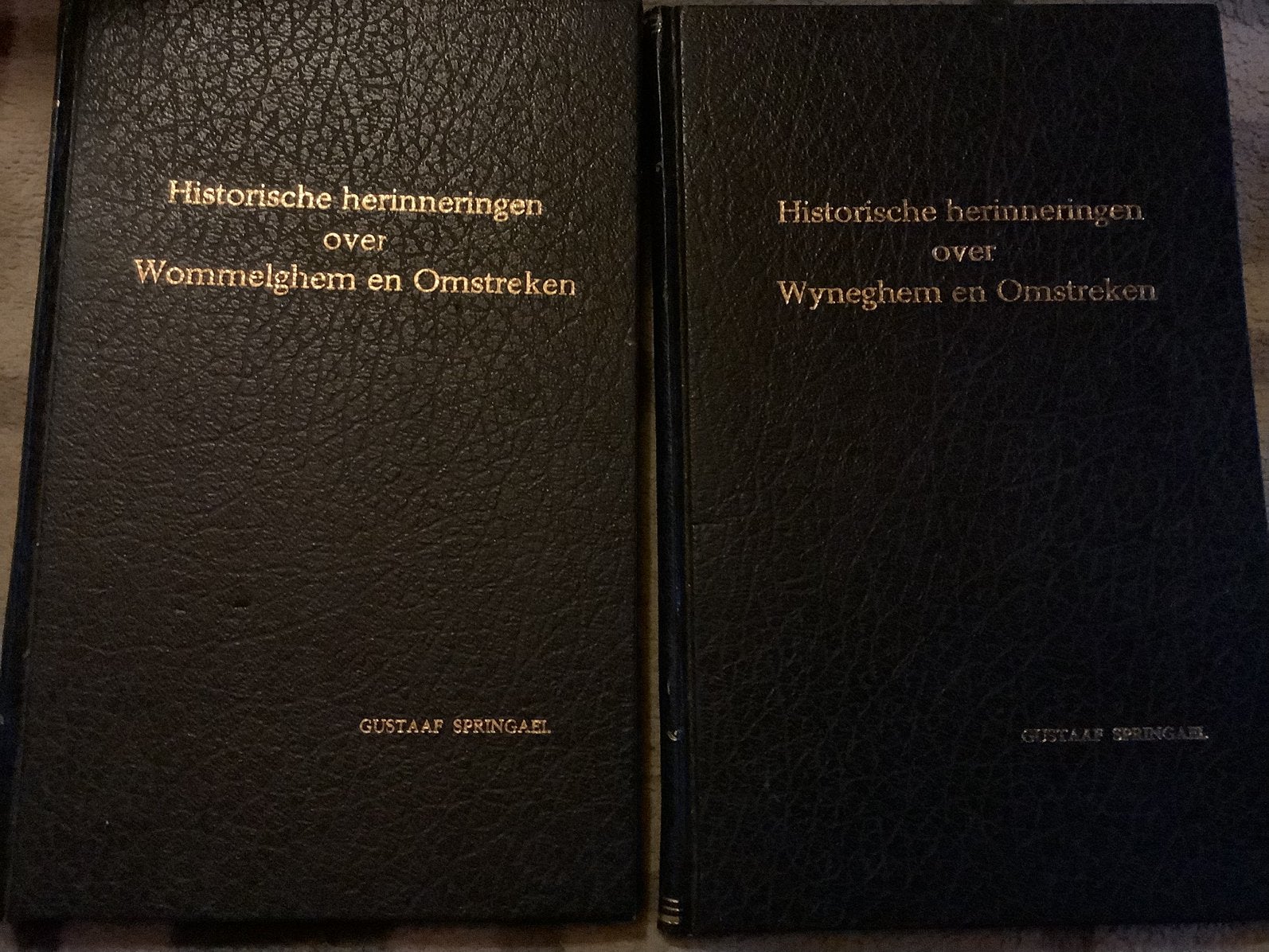 Boeken historische herinneringen over Wyneghem en omstreken, Boeken, Geschiedenis | Stad en Regio, Ophalen of Verzenden, Zo goed als nieuw