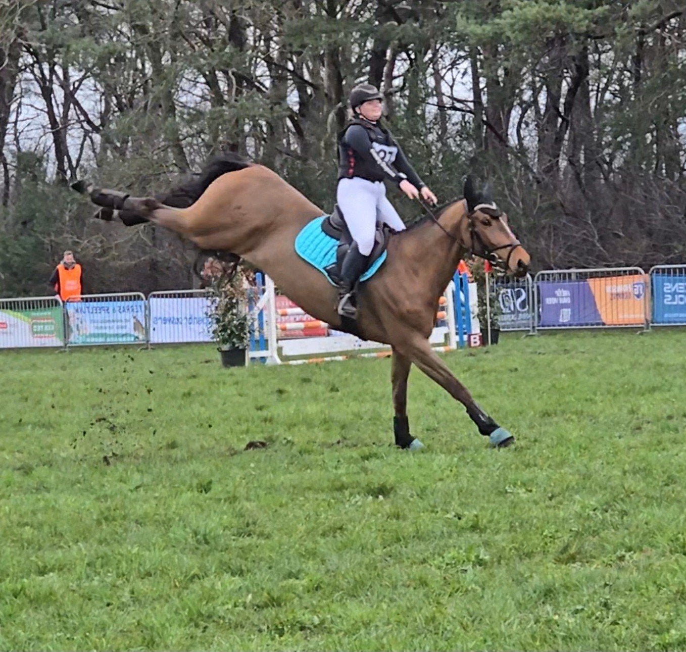 Lease paard gezocht, Animaux & Accessoires, Chevaux, Hongre