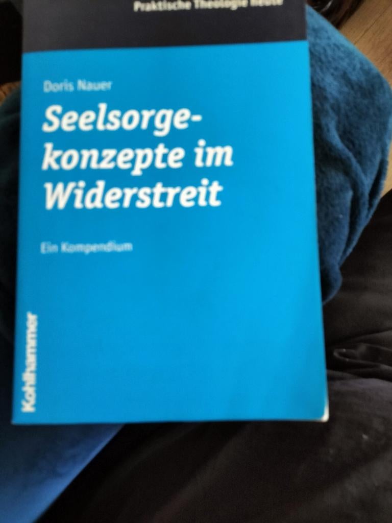 Seelsorge konzepte in Widerstreit, Doris Nauer, Boeken, Godsdienst en Theologie, Verzenden