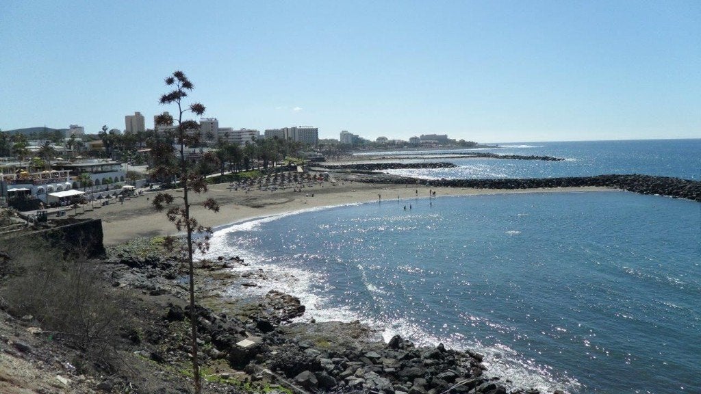 Tenerife : appartement 6p zeezicht te huur oktober