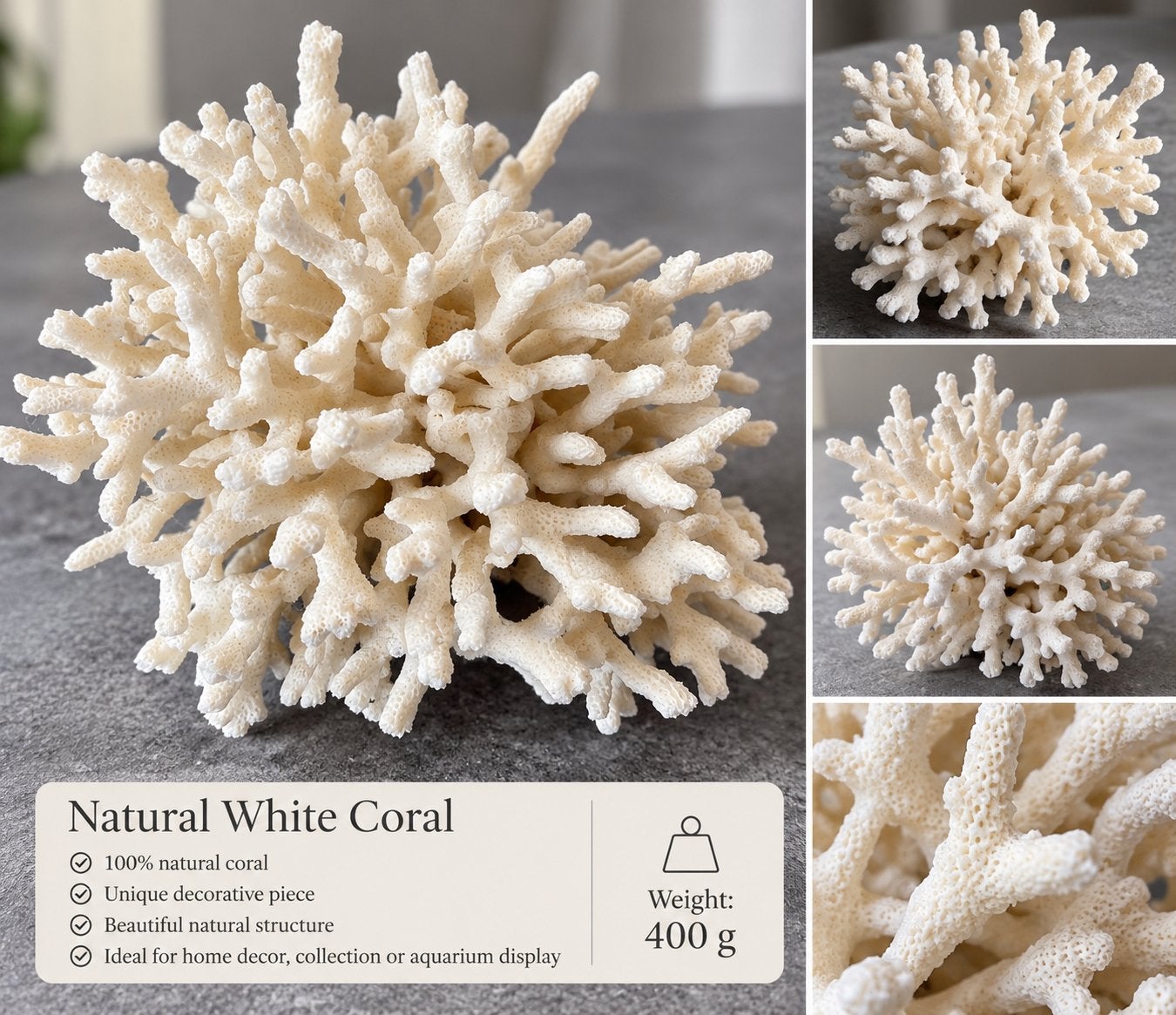 Natural White Coral – Genuine Coral Specimen, 400 g, Tuin en Terras, Ophalen of Verzenden