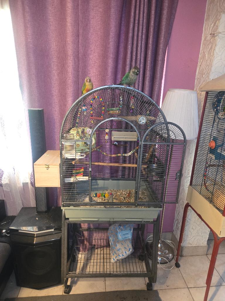 Cage, Dieren en Toebehoren, Vogels | Hokken en Kooien, Ophalen, Zo goed als nieuw