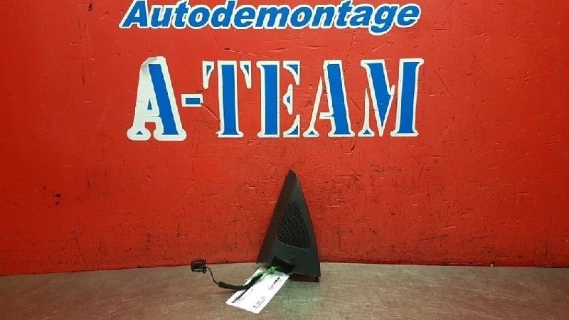 HAUT PARLEUR / ENCEINTE Volkswagen Tiguan (5N1 / 2), Utilisé, Volkswagen