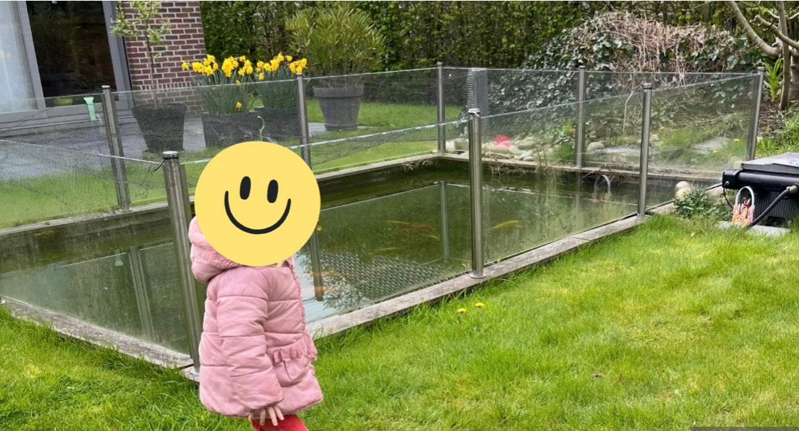 Vijverafsluiting in inox en glas – 5 x 3 meter, Tuin en Terras, Ophalen, Zo goed als nieuw