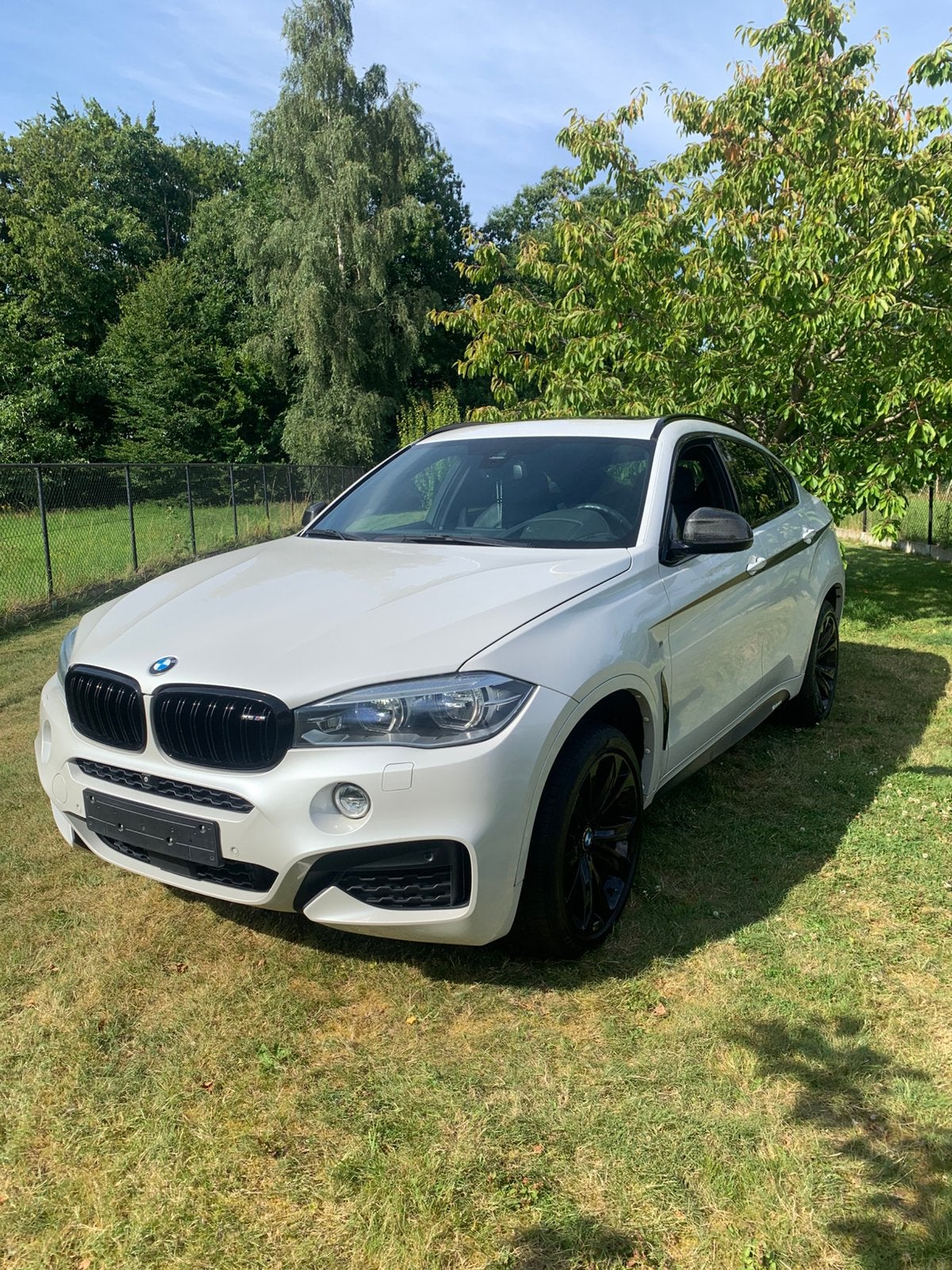 BMW X6 xDrive 30d | Option complète - Sans accident, Cuir, Achat, Entretenue par le concessionnaire, 6 cylindres