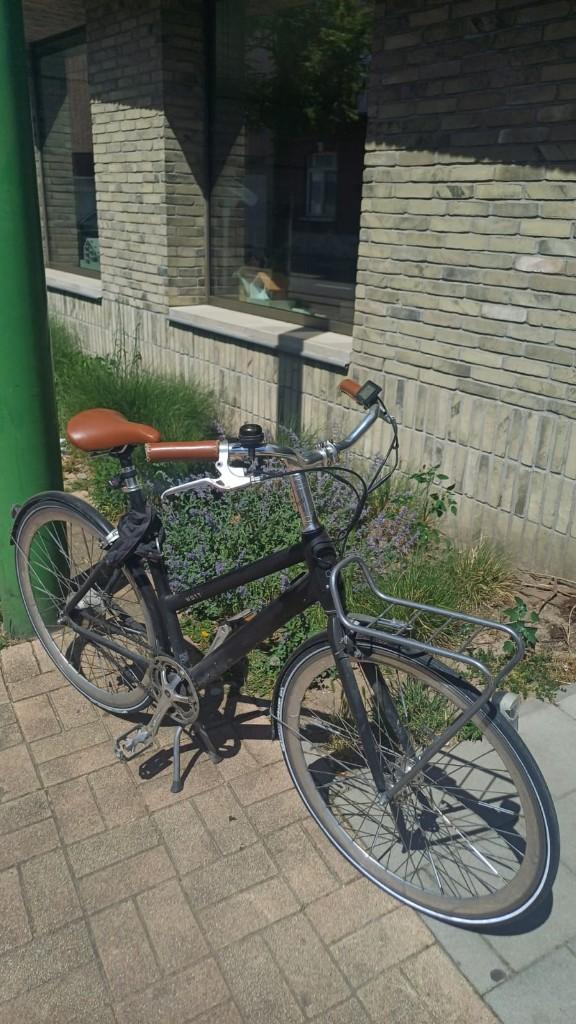 Unieke Watt e-bike, Autres marques, Frein sur jante, 53 à 56 cm, Enlèvement
