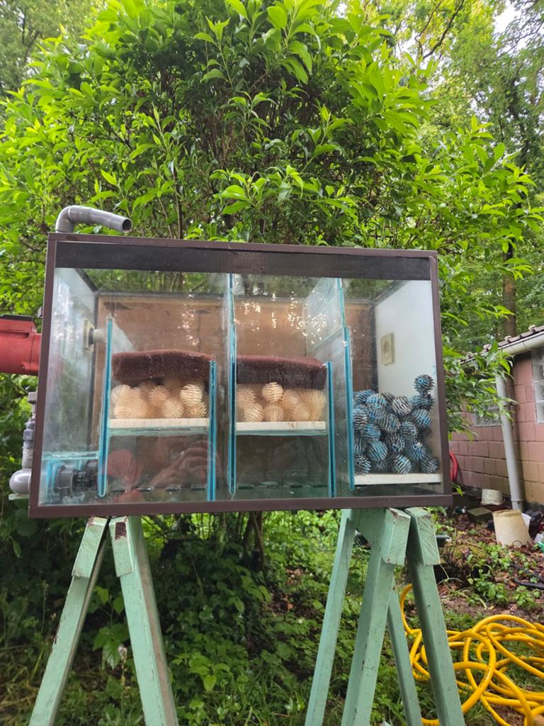 Bioloog aquarium filter 80cm, Ophalen, Pomp, Filter