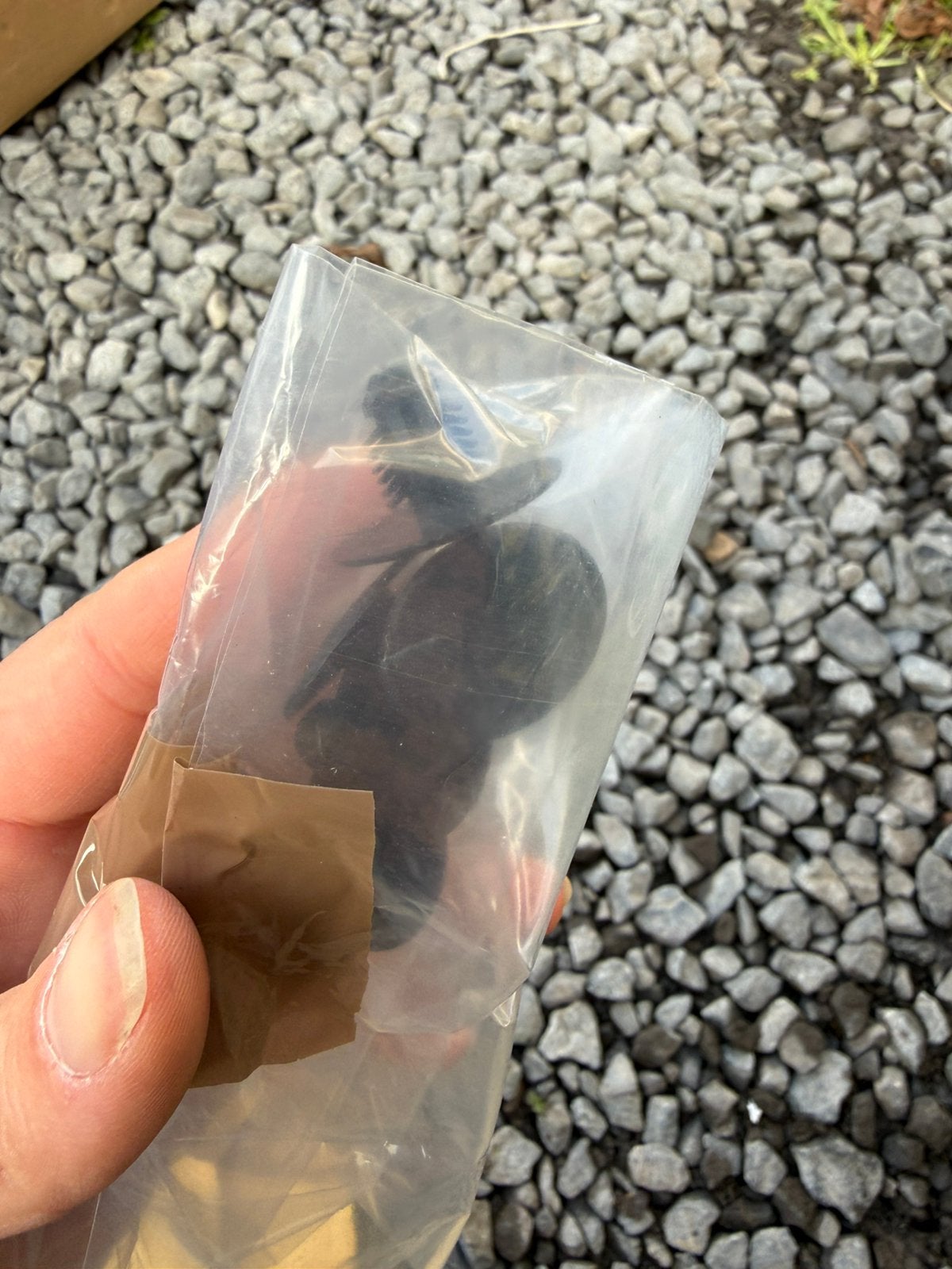 Clip de fixation isolant capot moteur toyota mr2 89-2000, Enlèvement, Toyota
