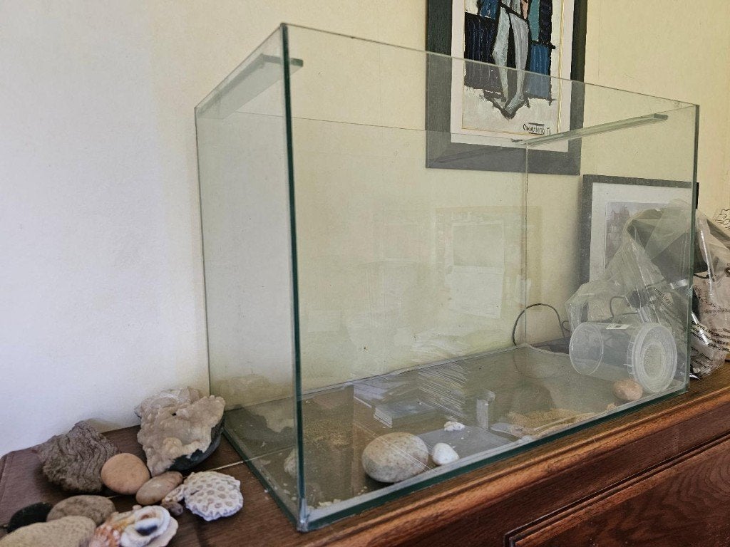 terrarium, Enlèvement, Utilisé, Terrarium ou Paludarium