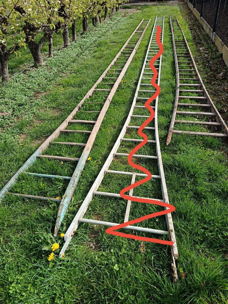 Echelle, Bricolage & Construction, Échelles & Escaliers, Enlèvement, Utilisé, Échelle, 4 mètres ou plus