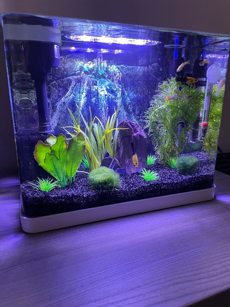 20L superfish aquarium met toebehoren, Enlèvement, Comme neuf, Filter, Superfish