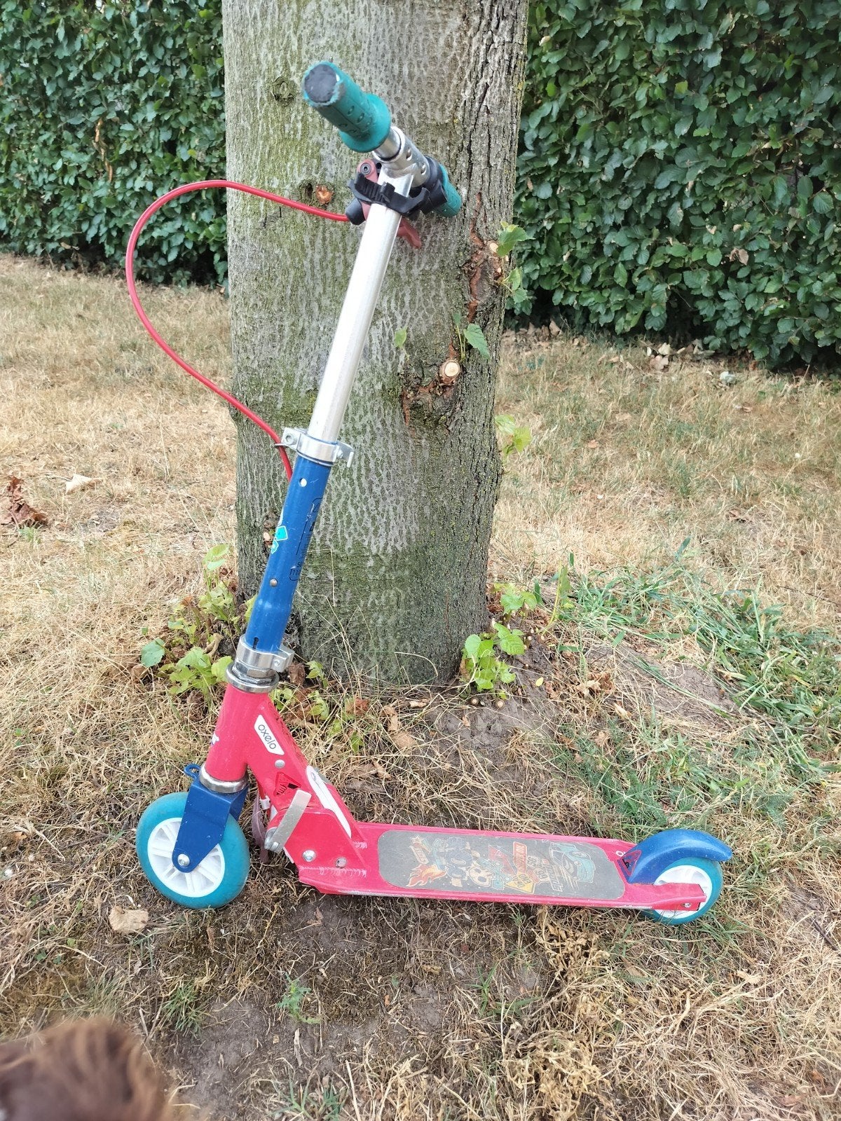 Stoere step kleuters, Ophalen