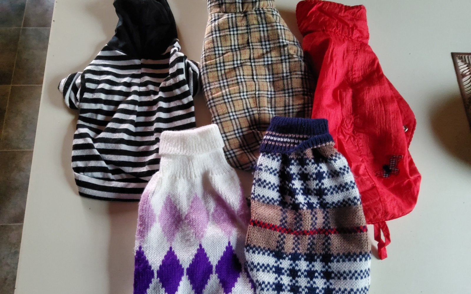 hondenkleding voor kleine hond, Dieren en Toebehoren, Ophalen, Zo goed als nieuw, XS