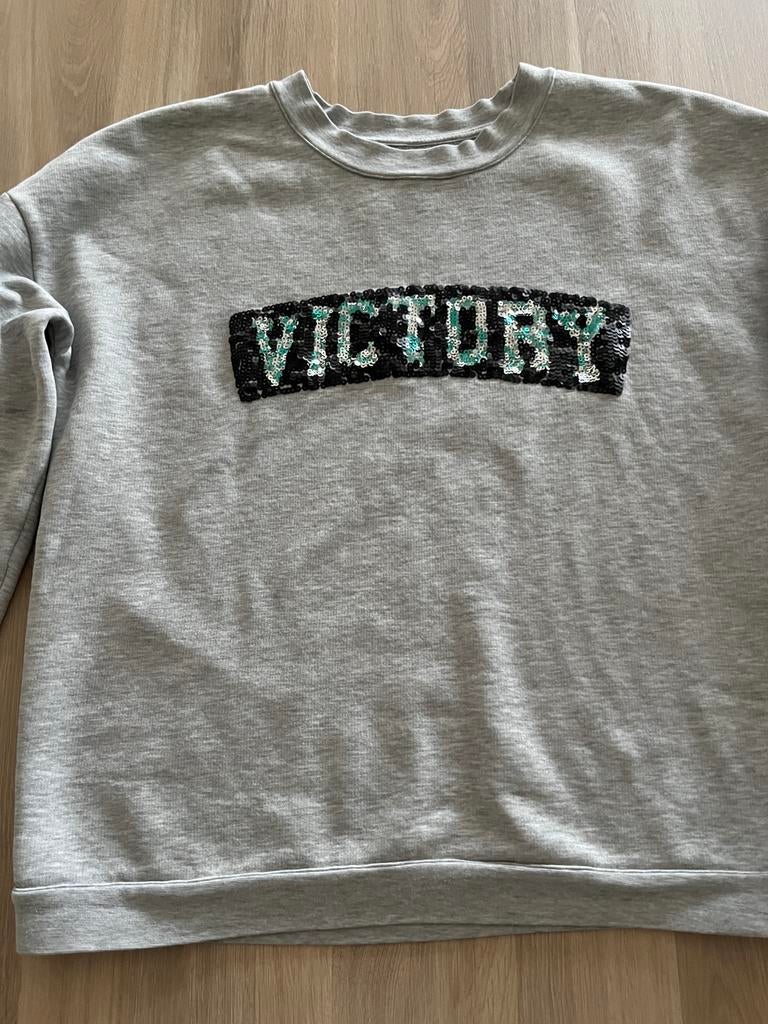 Grijze trui CKS Victory maat S/M, Ophalen of Verzenden, Zo goed als nieuw, Maat 38/40 (M), Grijs