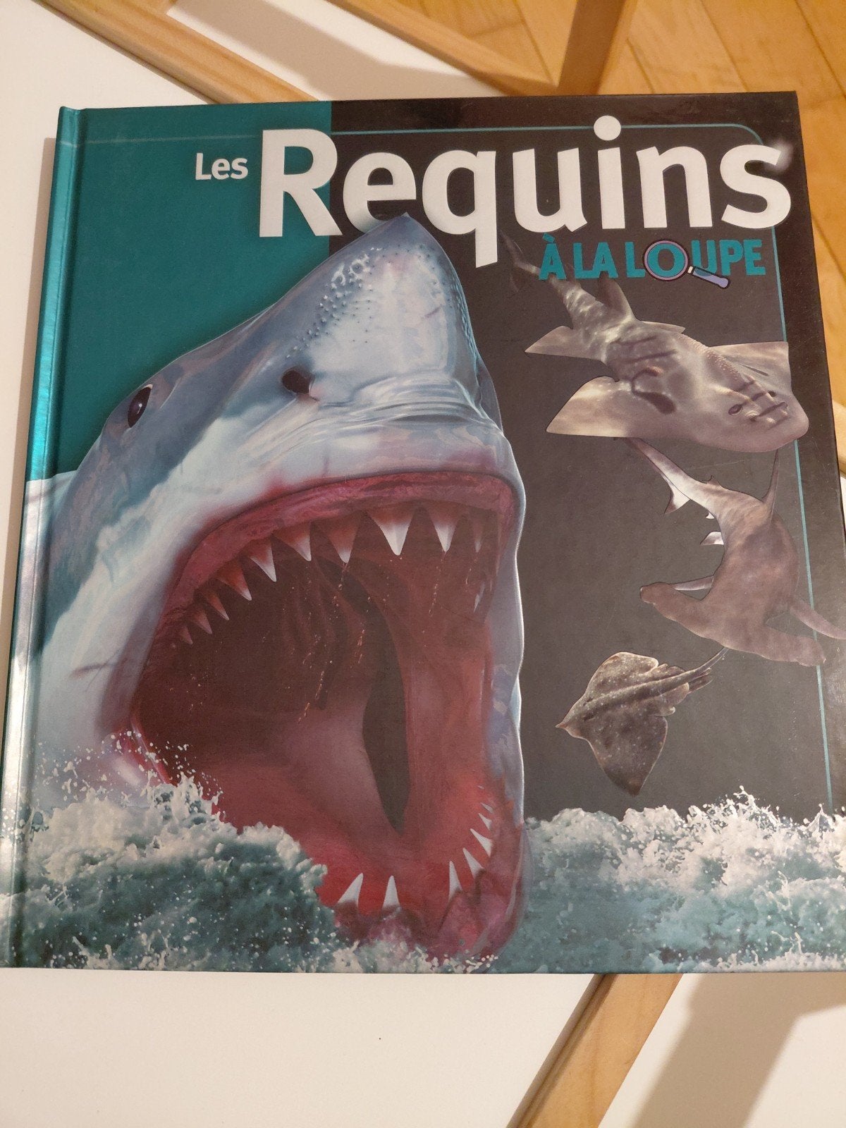 Livre(s) enfants  "A la loupe ", Enlèvement, Comme neuf, Non-fiction