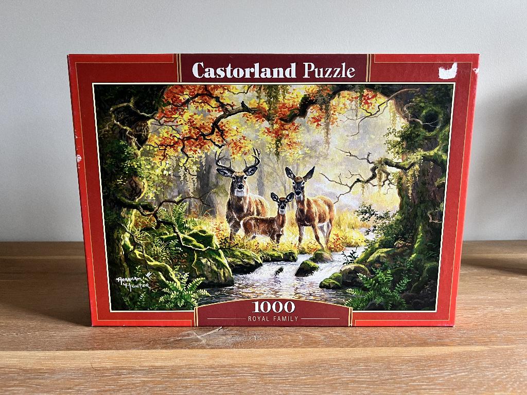 Legpuzzel Castorland - Royal family, Hobby en Vrije tijd, Ophalen of Verzenden, 500 t/m 1500 stukjes, Zo goed als nieuw, Legpuzzel