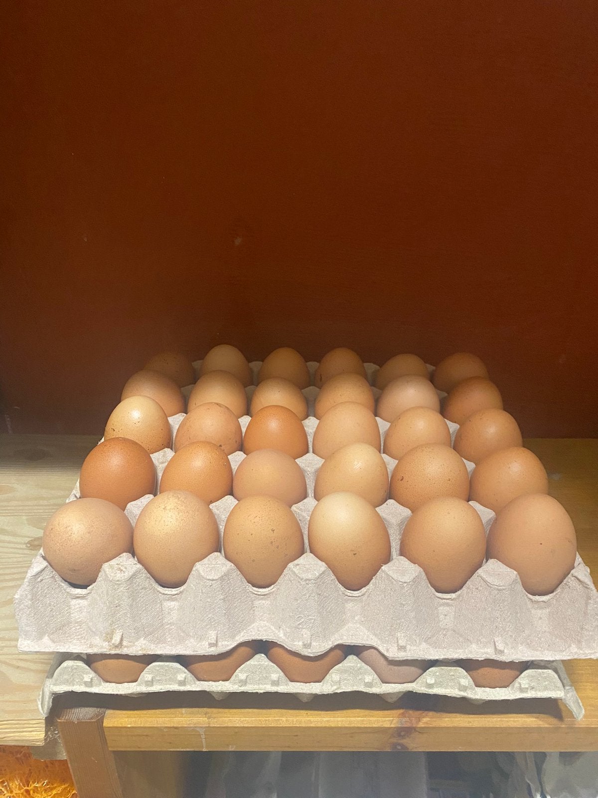 Verse biologische eieren, Diversen, Levensmiddelen, Ophalen
