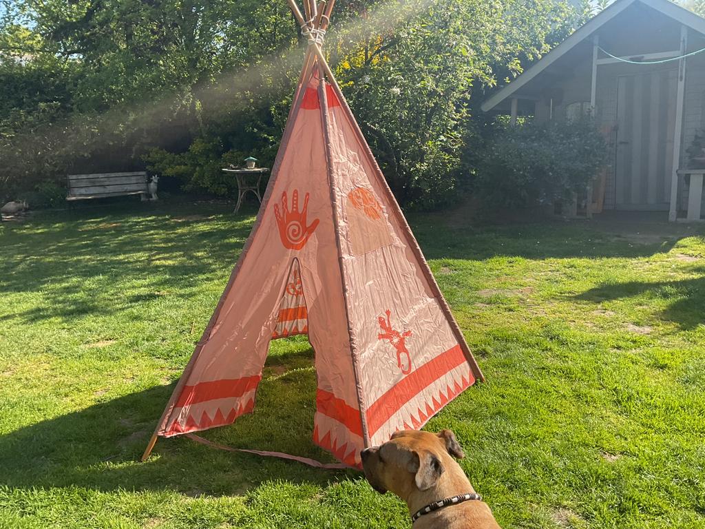 Speel tent nieuw, Ophalen, Nieuw