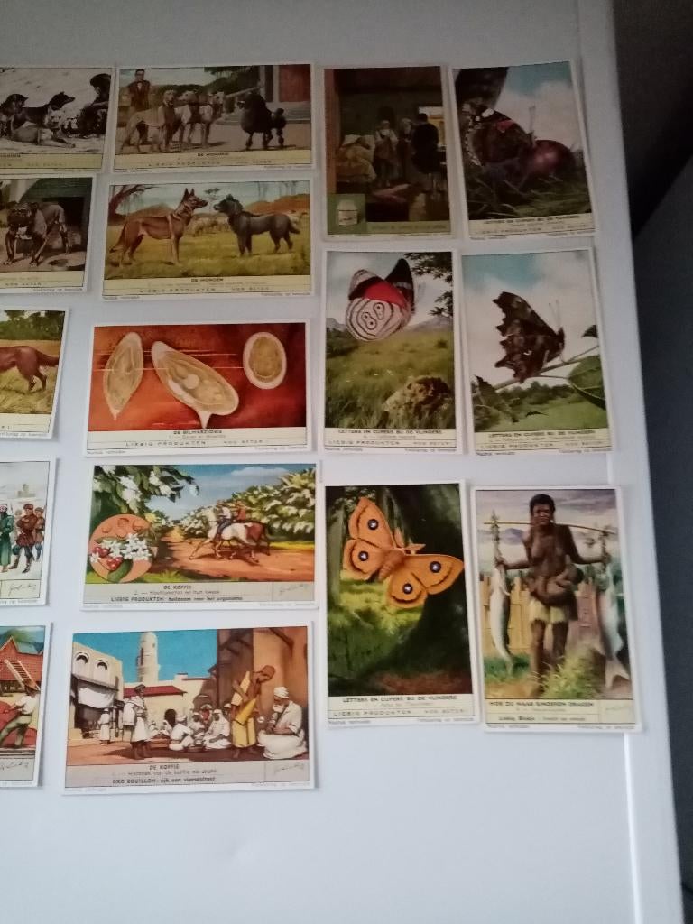 36 LIEBIG PRENTJES, Verzamelen, Ophalen of Verzenden, Gebruikt, Prent