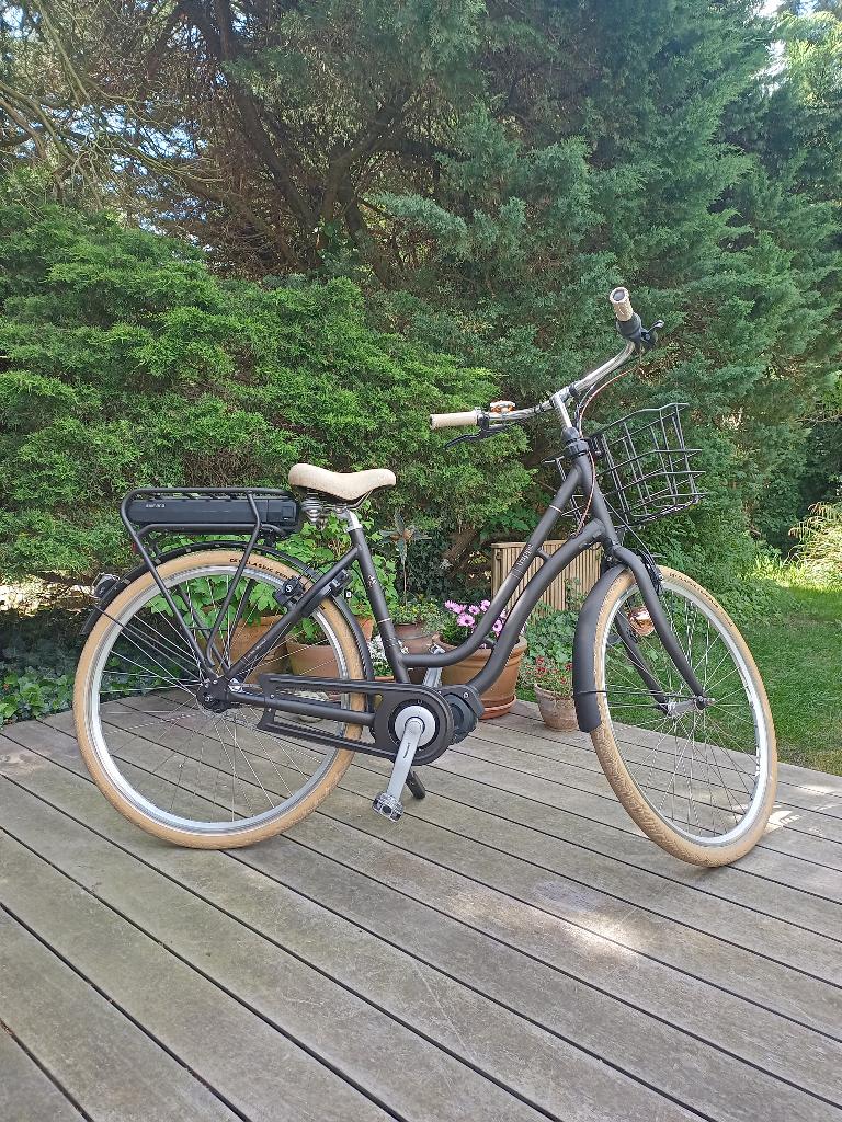 Elektrische Damesfiets Frappé, Fietsen en Brommers, Ophalen, Gebruikt, Overige merken, Versnellingen