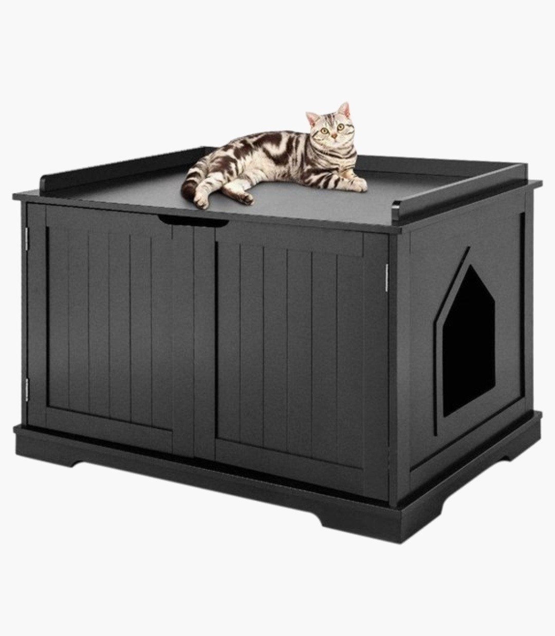 kattenhuis zo goed als nieuw, Enlèvement