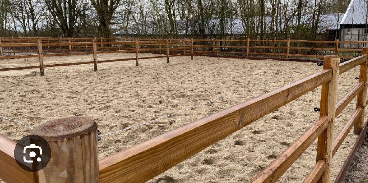 Op zoek naar een plaatsje voor mijn shetlander